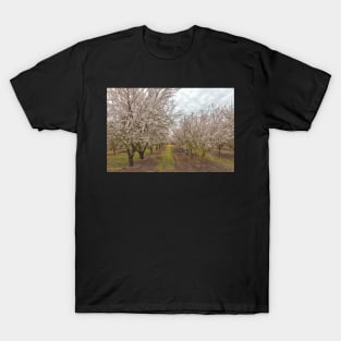 Blooming Almond T-Shirt